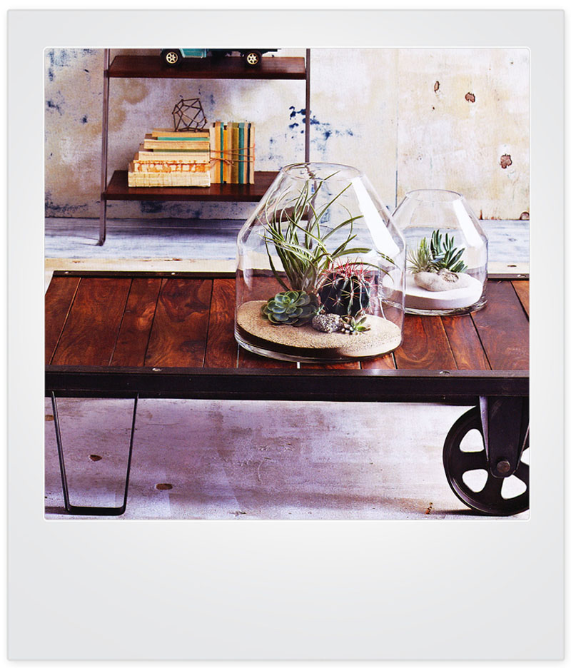 Clear AllGlass Large Round Terrarium for Indoor Plants NOVA68 Modern