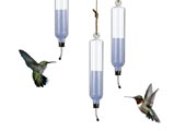 hummingbird feeders