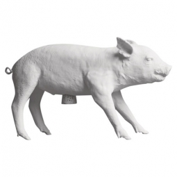 Harry Allen: Money Bank in the Form of a Pig White by Areaware
