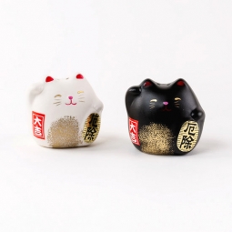 Welcome Cat Salt & Pepper