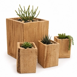 Akari Natural Wood Indoor Planter Pots