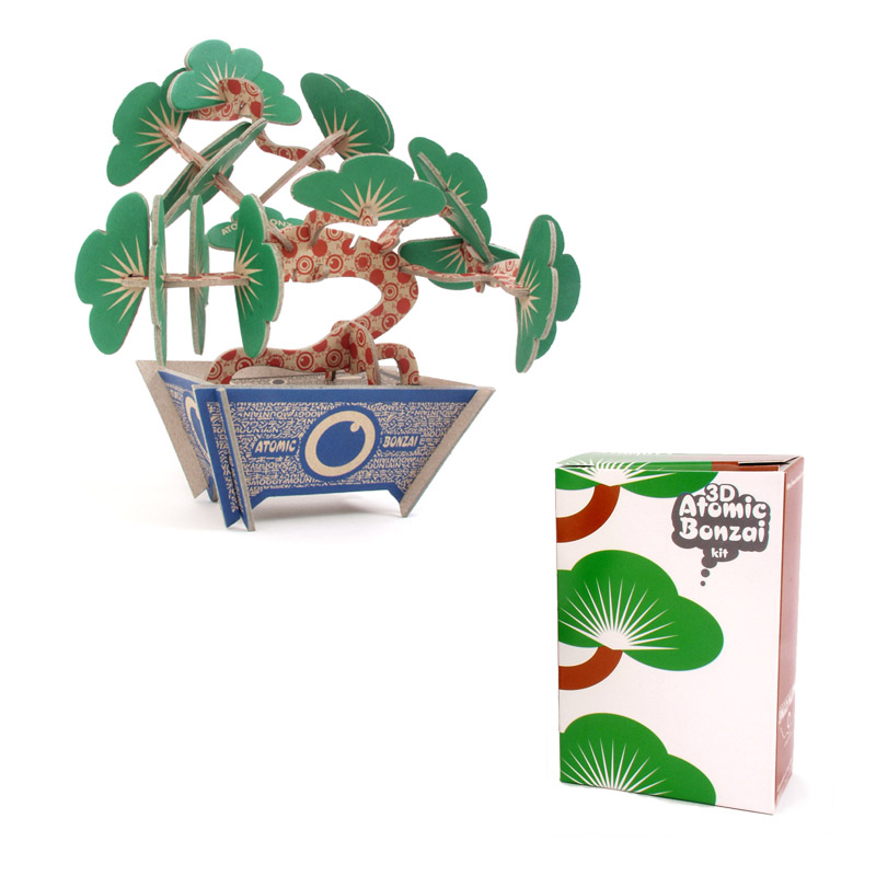 Unique Gift Ideas: Flat-Packaged DIY Bonsai Tree Kit