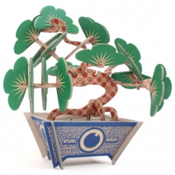 Unique Gift Ideas: Flat-Packaged DIY Bonsai Tree Kit