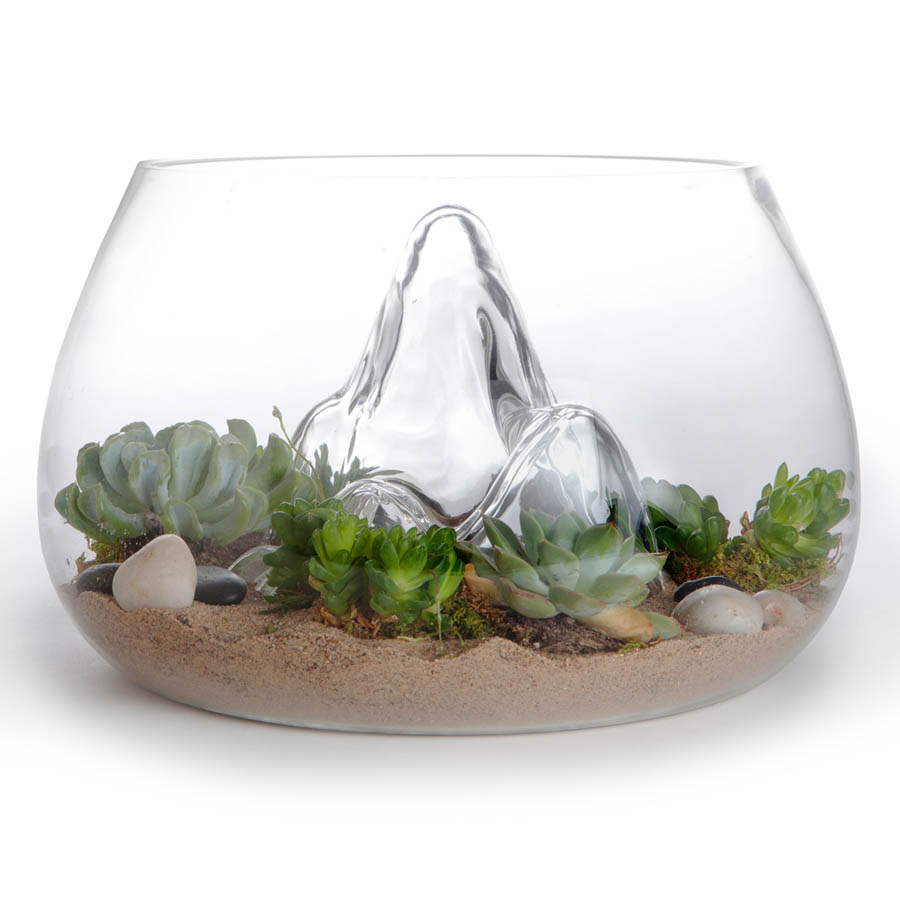 Award-Winning 12.7" Glass Terrarium Indoor Garden  NOVA68 