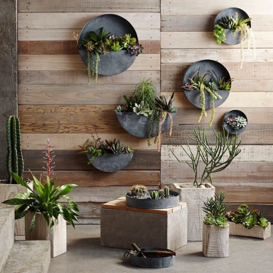 Akari Natural Wood Indoor Planter Pots