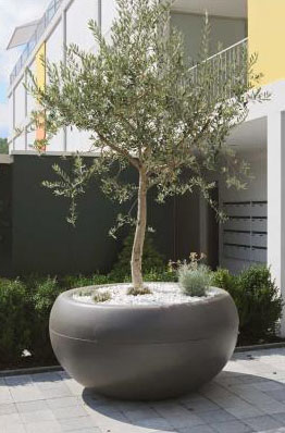 Aladin Extra Large Commericial Planter: Outdoor Pots for Trees: NOVA68.com