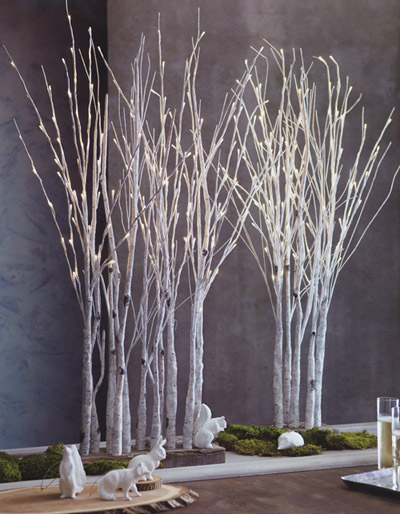 lighted birch tree forest nova68 com birch light