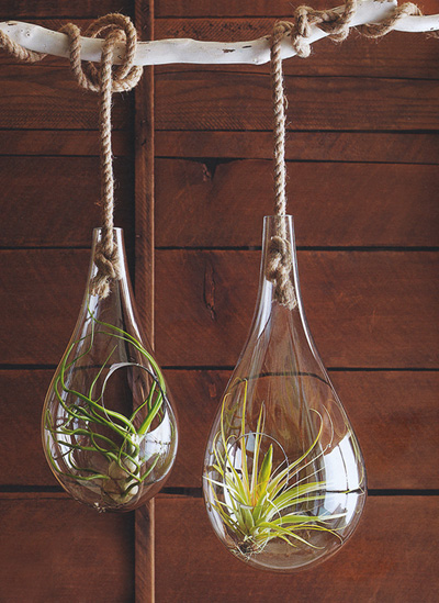 Mid Century Modern Air Hanging Planter for Tillandsia Air 