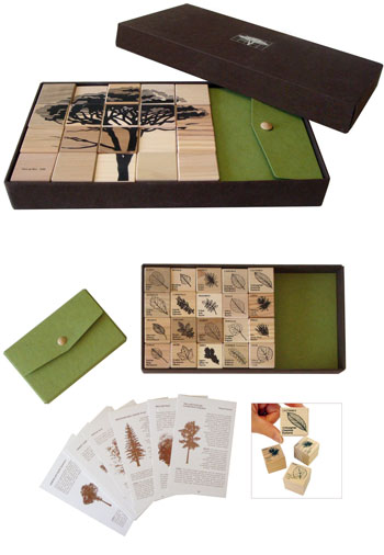 Tree Identification Gift Set with Wood Samples: NOVA68.com