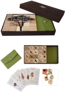 Tree Identification Gift Set with Wood Samples - Sale