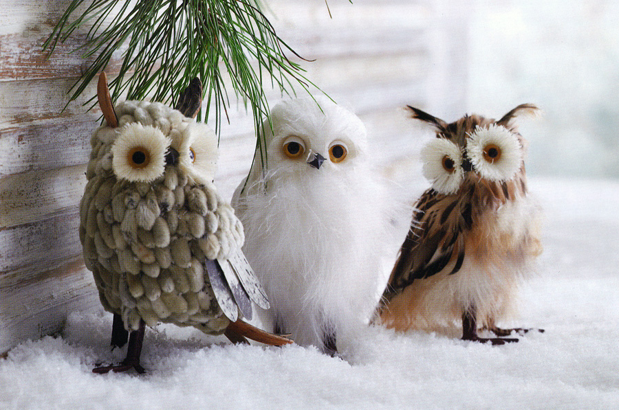 Wise Winter Owls Holiday Decor Ornaments (Set of 3 